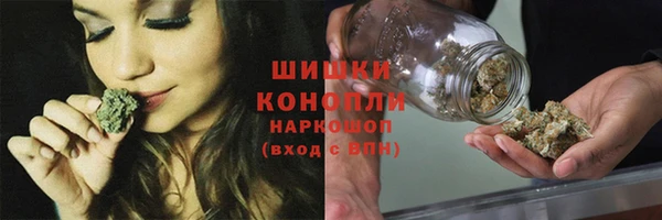 гидра Медвежьегорск