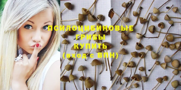 МДПВ Мегион