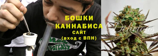 гидра Медвежьегорск