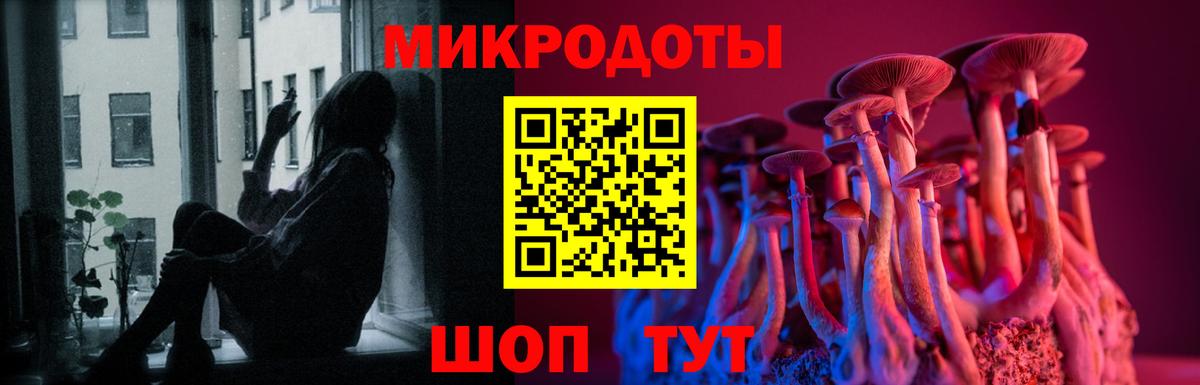 закладка  Вход с VPN  Скопин  Псилоцибиновые грибы мухоморы 
