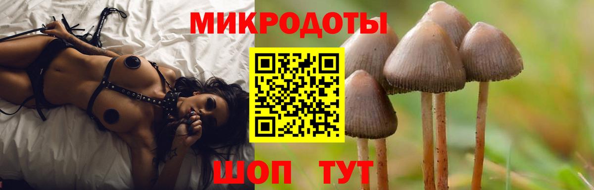 закладки  Скопин  Псилоцибиновые грибы MAGIC MUSHROOMS  Галлюциногенные грибы MAGIC MUSHROOMS 